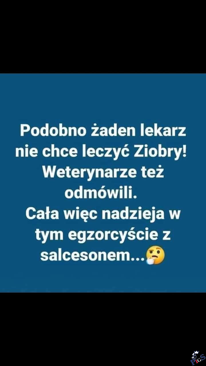 Nawet weterynarz odmówił