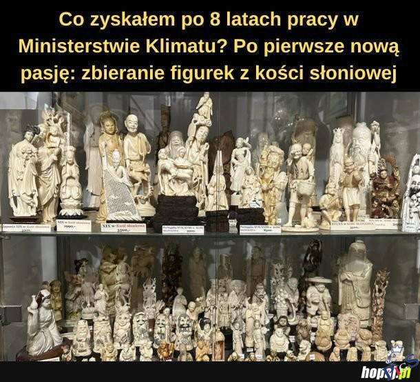 Nowa pasja