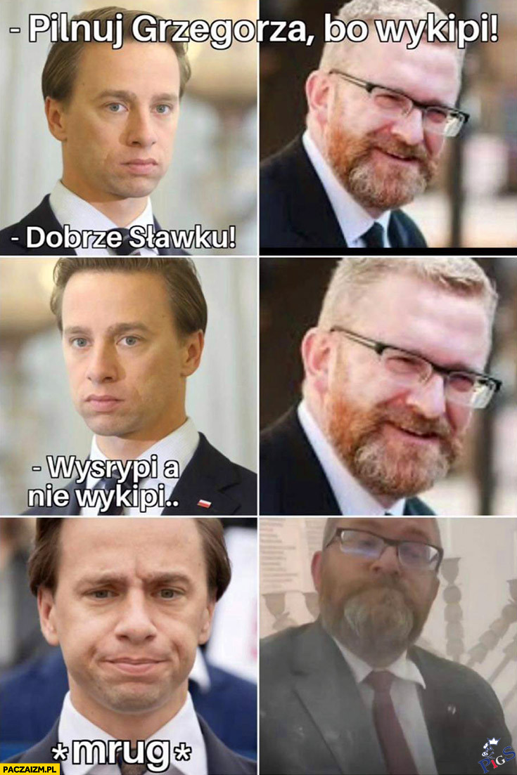 Pilnuj Grzegorza bo wykipi