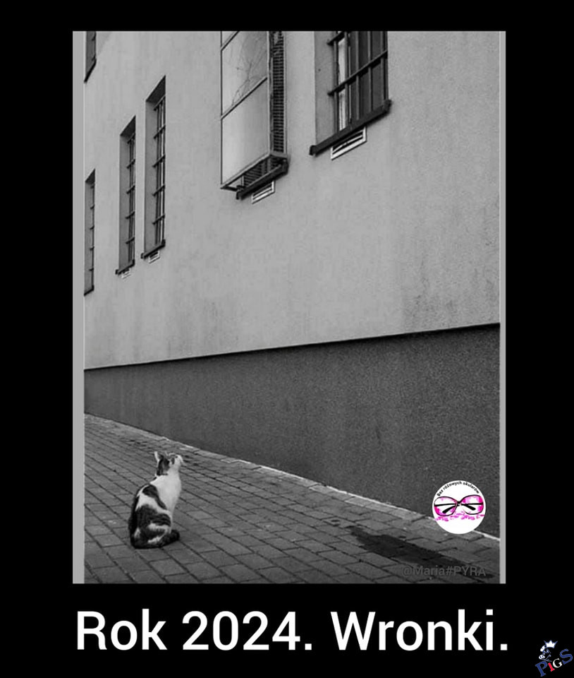 Rok 2024
