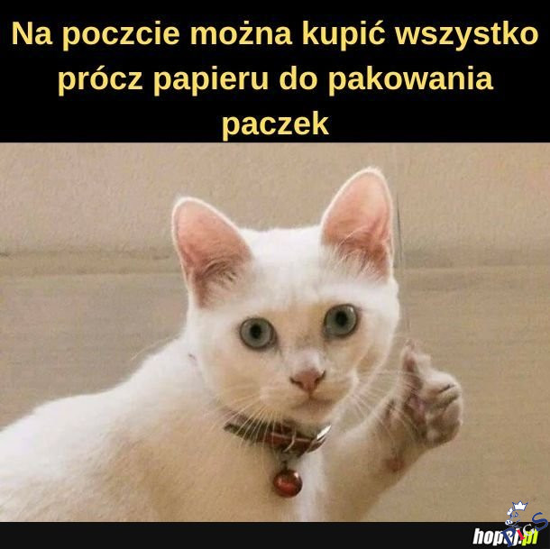 Szczególnie przed świętami