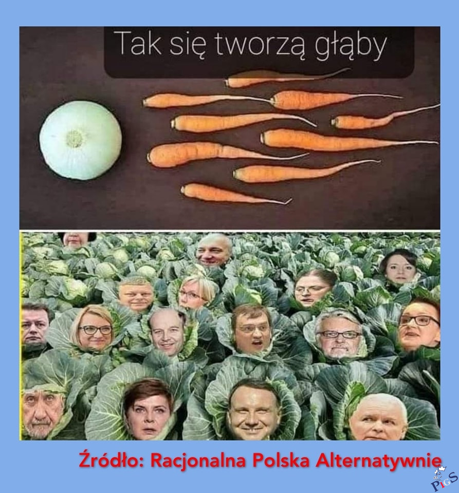 Tak się tworzą głąby