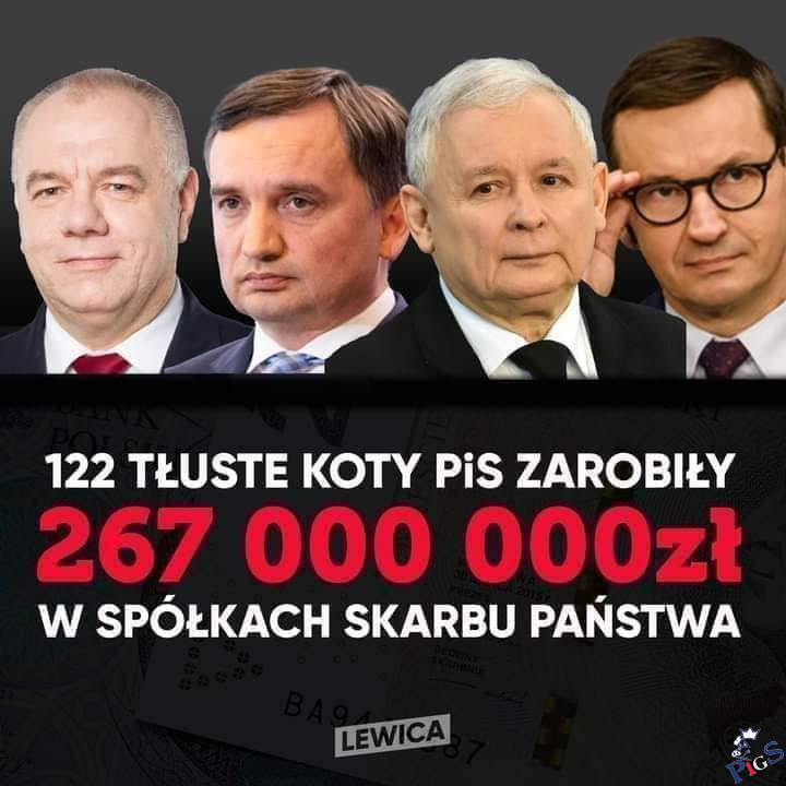 Tłuste koty