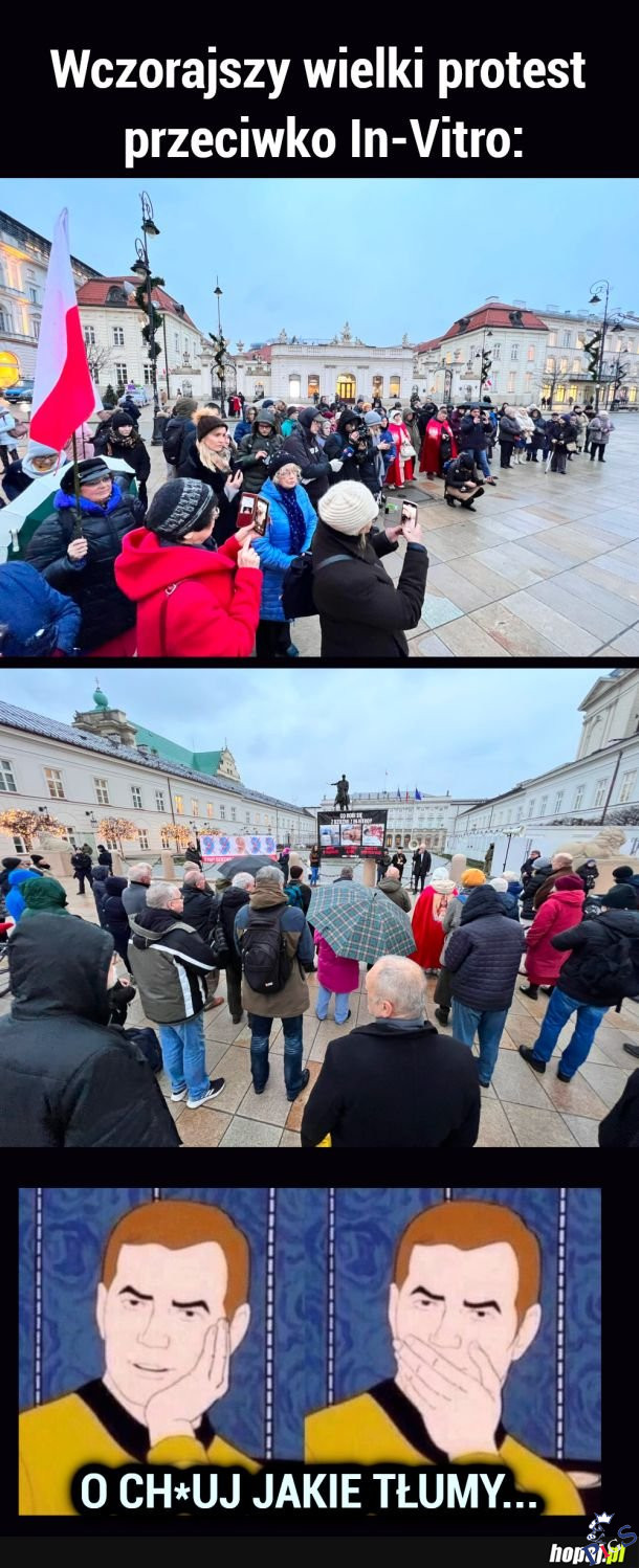 Wielki protest
