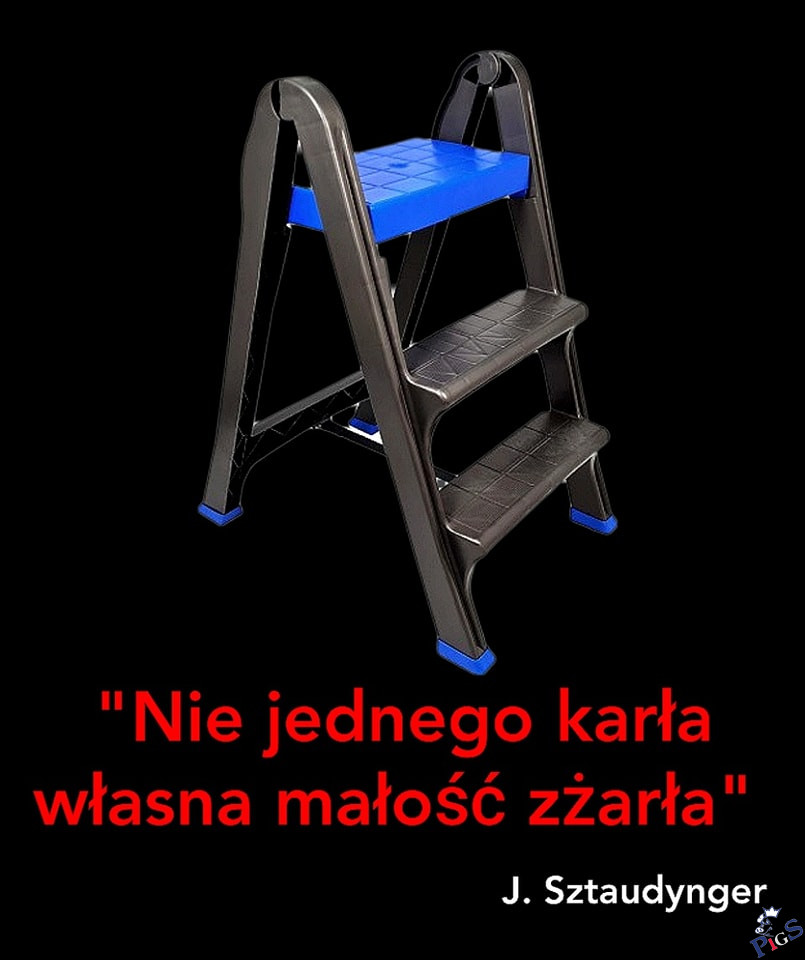 Z dedykacją dla takiego małego łachudry z łupieżem