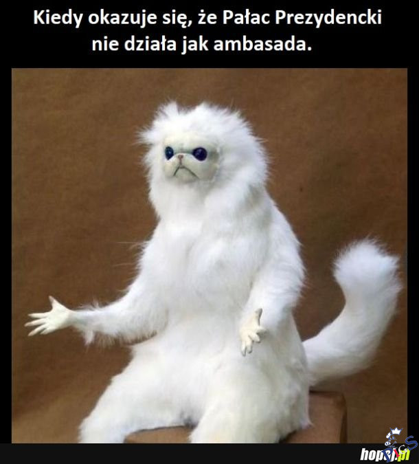 A Kamiński to nie Snowden