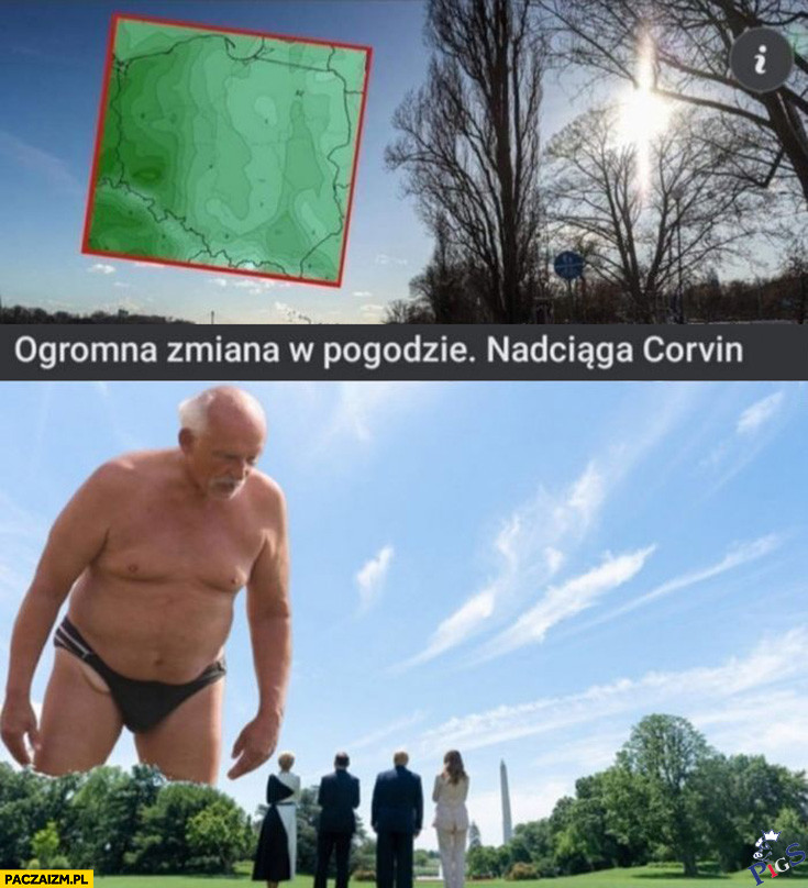 Czy to Covid czy Korwin?