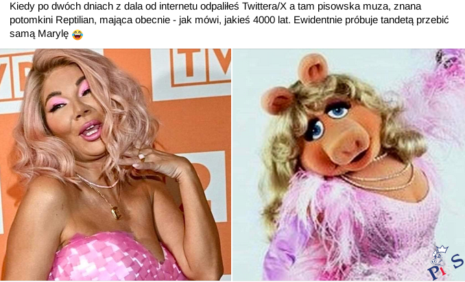 Edzia piggy