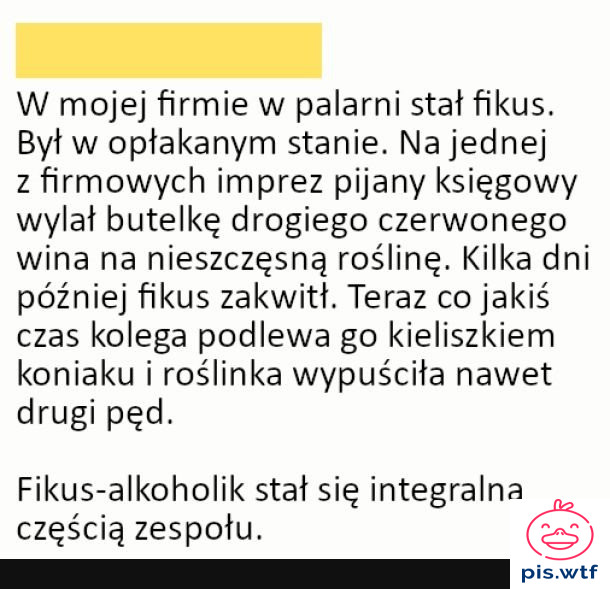 Fikus Mariusz
