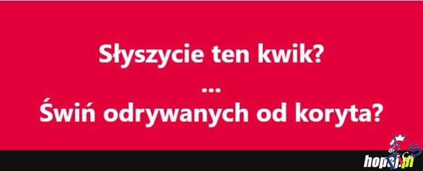 Jakby PiSory zrzucane ze stołków