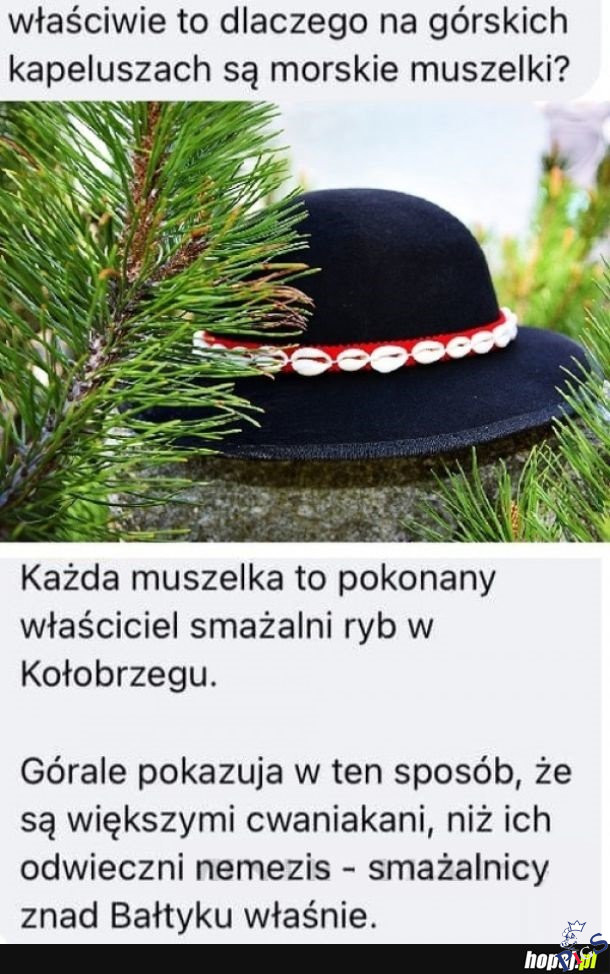 Jedna muszelka – jedna głowa własciciela smażalni
