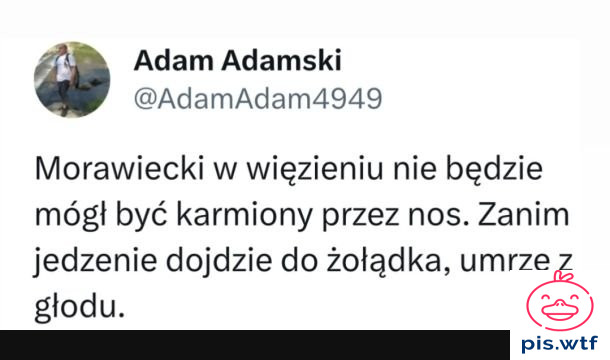 Karmienie pinokia