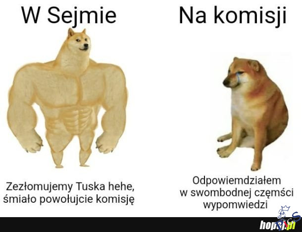 Mądry w sejmie, ciota na komisji