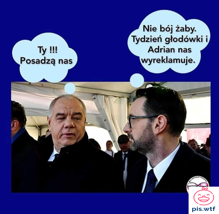 Nie bój żaby