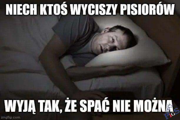 Niech ktoś wyciszy pisowców