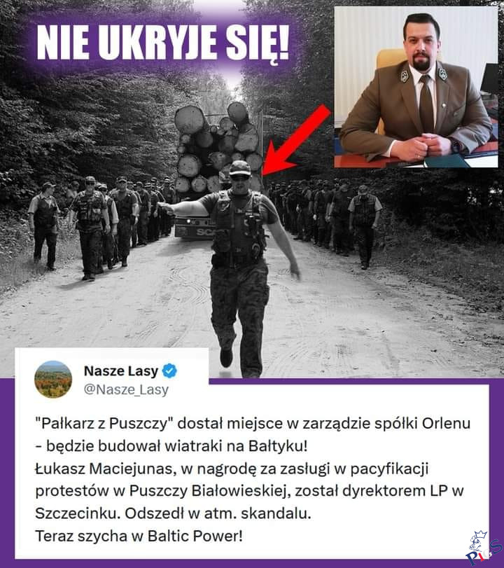 Pałkarz z Puszczy