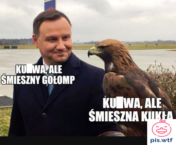 Prawie jak jaszczomp