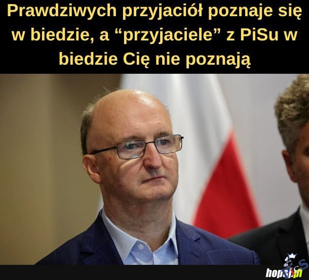 Przyjaciele z PiSu