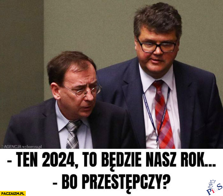 Rok przestępczy