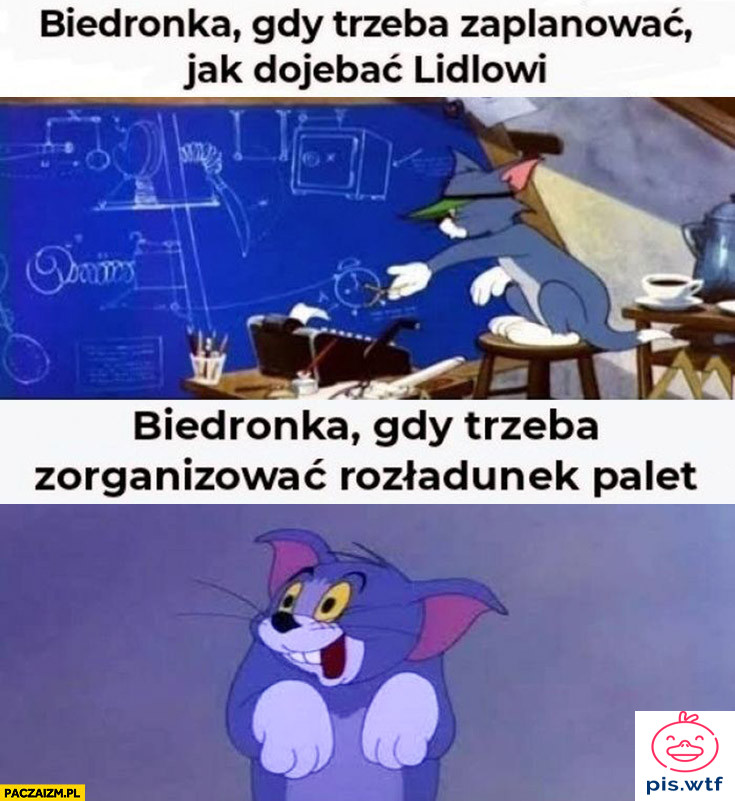 Co jak co ale palet to ja nie będę ustawiać!