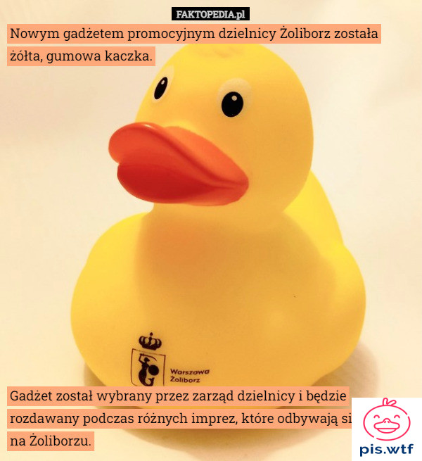 Dlaczego akurat to zwierze?
