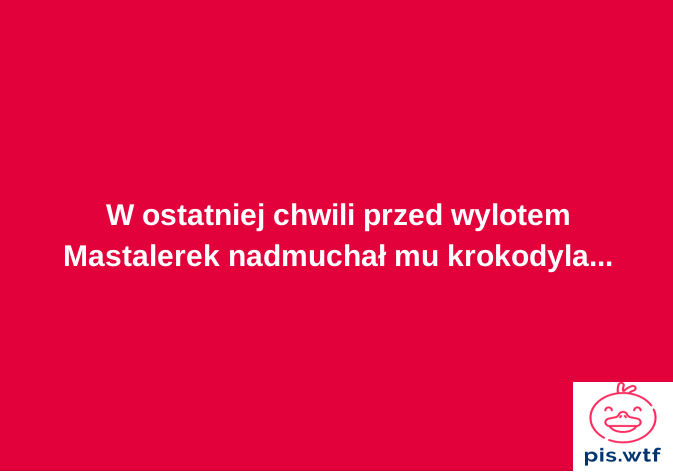 Dudu leci do Afryki