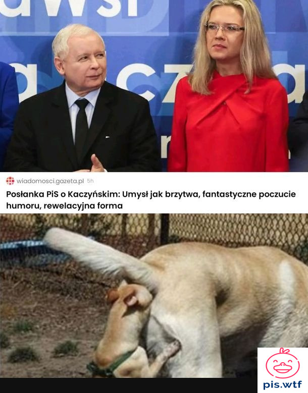 Dupowlastwo poziom miszcz