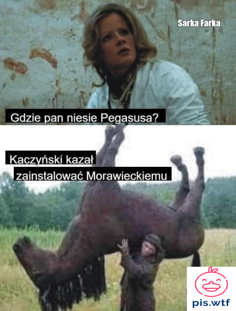 Analogowy koń dla Prezesa