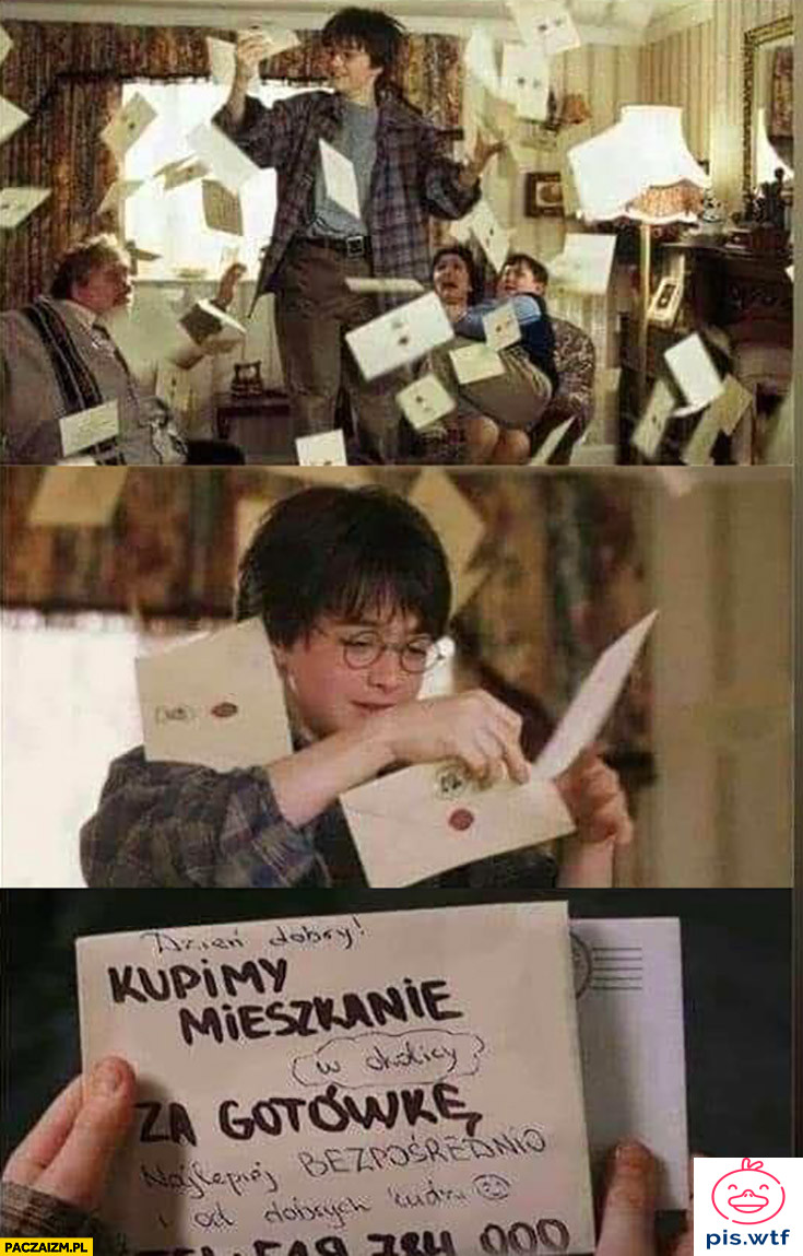 Harry Devellopper