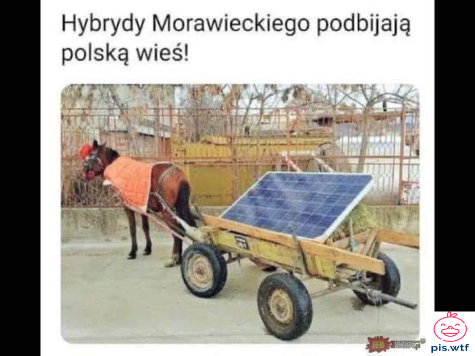 Hybrydy Morawieckiego
