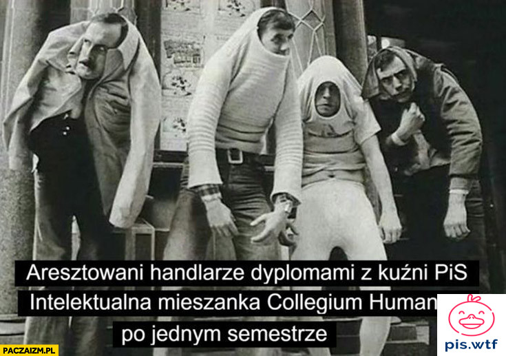Intelektualna mieszanka