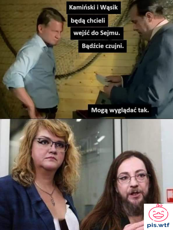 Mogą wyglądać tak