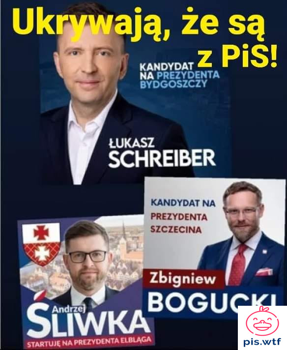 Nagle wszyscy wstydzą się, że są z pis