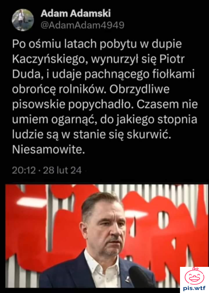 Obrzydliwe pisowskie popychadło