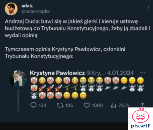 Opinia członkini TK