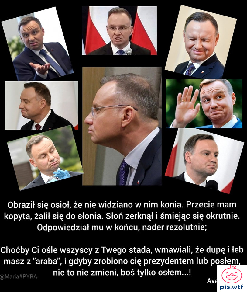 Przygadał słoń osłowi