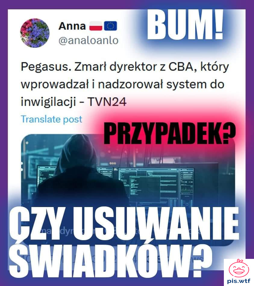 Przypadek czy usuwanie świadków?