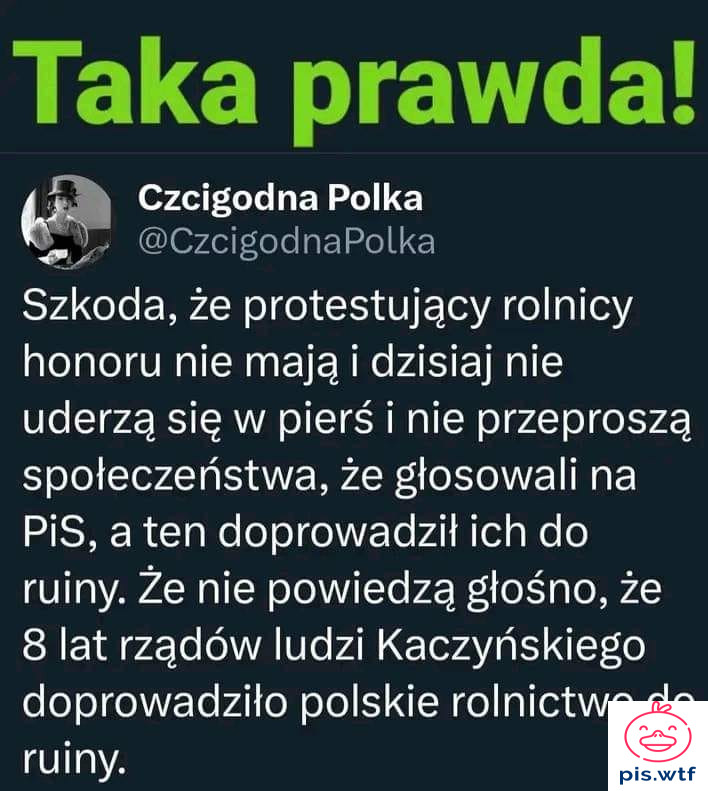 Szkoda, że nie mają honoru