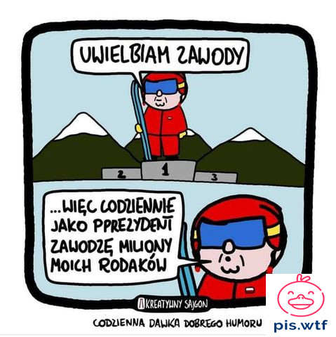 Zawodowiec