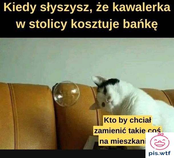 Bańka