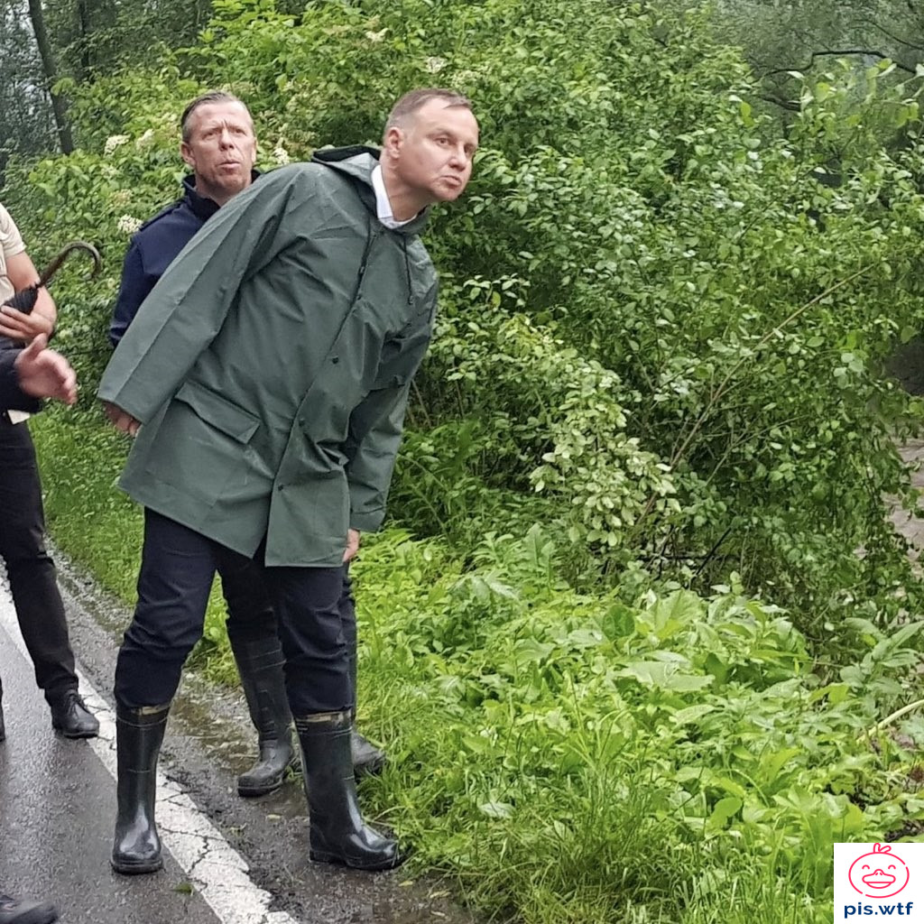 Działa wam ten fejsbuk?