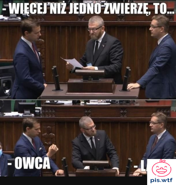 Grzesiek Strasburger