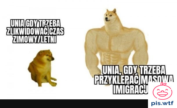 Łunia