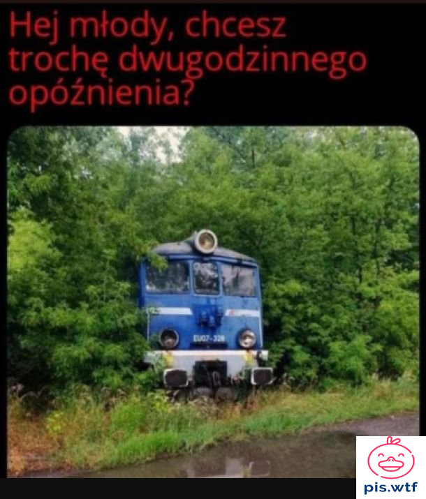 PKP zza krzaka