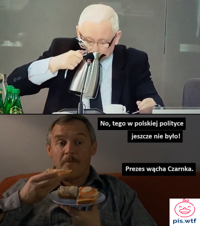 Prezes wącha Czarnka