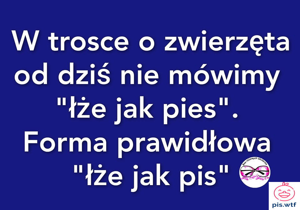 W trosce o zwierzęta