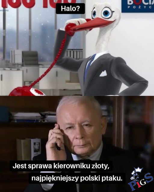 To już nie orzeł jest numerem jeden?