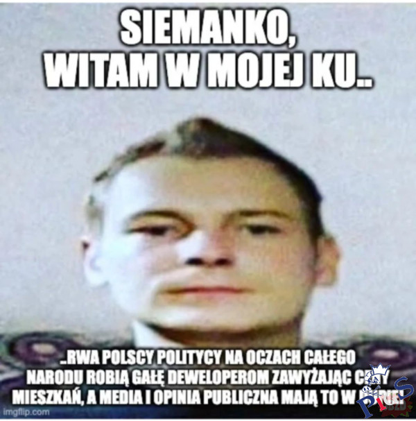 Co ci politycy odjaniepawlają…