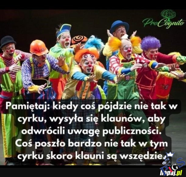 Nasz cyrk