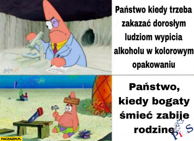 Państwo